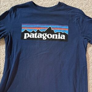 Patagonia Blue Tee with Vibrant Logo